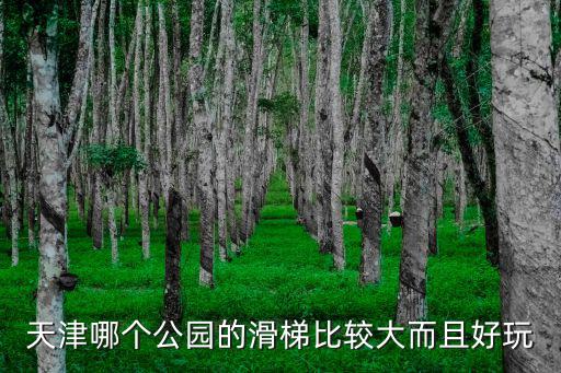 天津哪個公園的滑梯比較大而且好玩