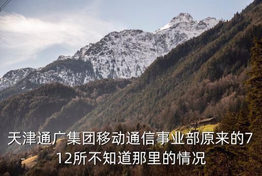 天津市紅網移動公司老總，移動公司老總是誰啊