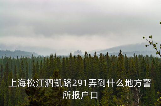 上海松江泗凱路291弄到什么地方警所報戶口