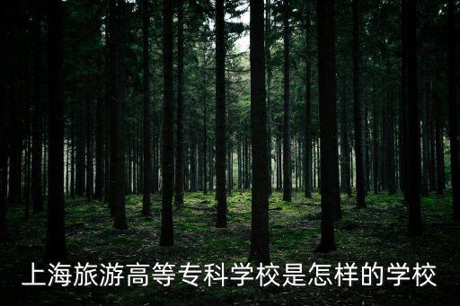 上海旅游高等?？茖W校是怎樣的學校