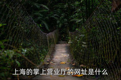 上海的掌上營業廳的網址是什么