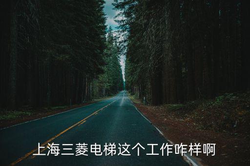 上海三菱電梯這個工作咋樣啊
