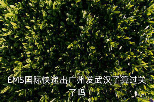 EMS國(guó)際快遞出廣州發(fā)武漢了算過關(guān)了嗎