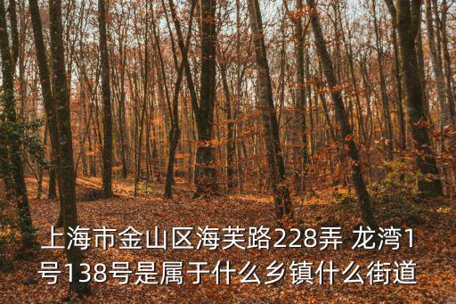 上海市金山區海芙路228弄 龍灣1號138號是屬于什么鄉鎮什么街道
