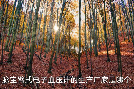 脈寶臂式電子血壓計的生產(chǎn)廠家是哪個
