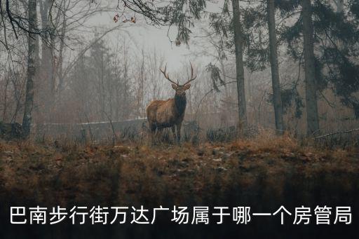 巴南步行街萬達廣場屬于哪一個房管局