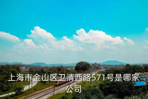 上海市金山區衛清西路571號是哪家公司