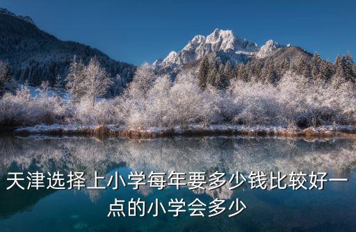天津選擇上小學每年要多少錢比較好一點的小學會多少