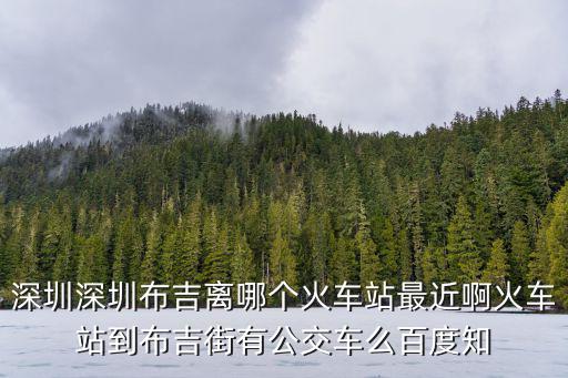 深圳深圳布吉離哪個火車站最近啊火車站到布吉街有公交車么百度知