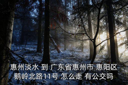惠州淡水 到 廣東省惠州市 惠陽區(qū)鵝嶺北路11號 怎么走 有公交嗎