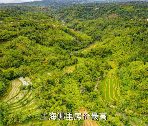上海哪里房價最高