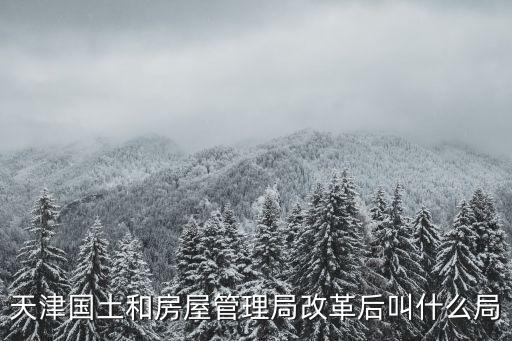 天津市國土資源和房屋管理局 變更，天津國土和房屋管理局改革后叫什么局