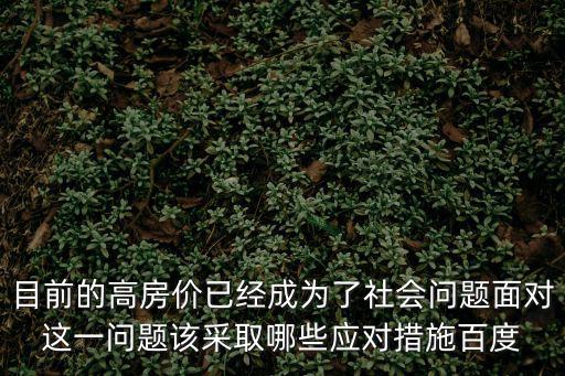 如何控制房價，目前的高房價已經成為了社會問題面對這一問題該采取哪些應對措施百度