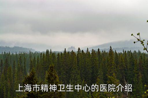 上海市精神衛(wèi)生屮心，上海市精神衛(wèi)生中心的介紹