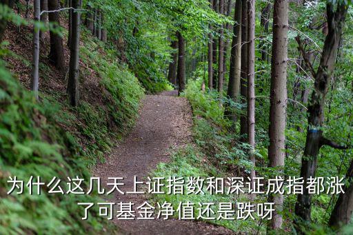 為什么這幾天上證指數和深證成指都漲了可基金凈值還是跌呀