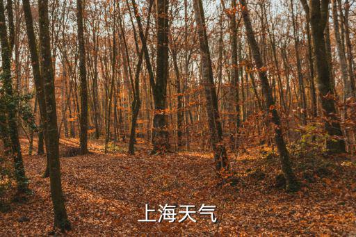 上海天氣