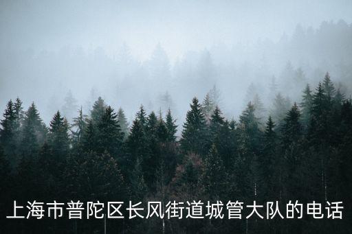 上海市普陀區(qū)政府長風街道，想知道上海市 長風新村街道范圍 在哪