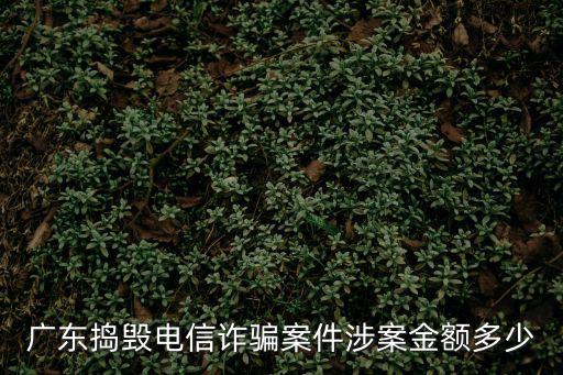 廣東搗毀電信詐騙案件涉案金額多少