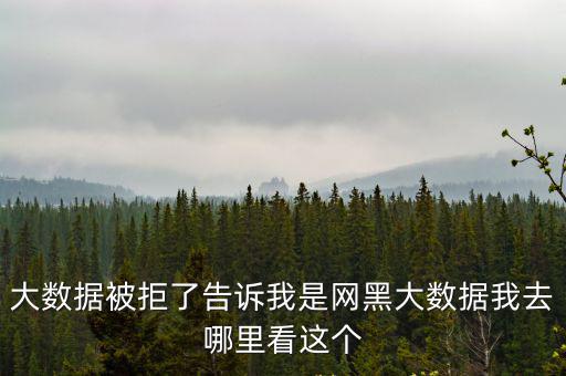 怎么查風控大數據，大數據被拒了告訴我是網黑大數據我去哪里看這個