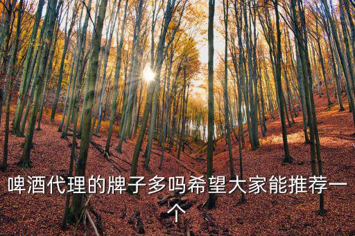 深圳柏緹酒業(yè)有限公司，啤酒代理的牌子多嗎希望大家能推薦一個(gè)