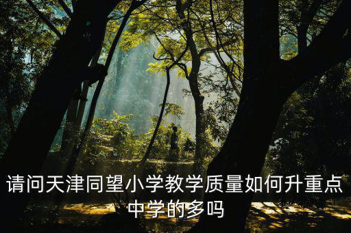 請問天津同望小學(xué)教學(xué)質(zhì)量如何升重點(diǎn)中學(xué)的多嗎