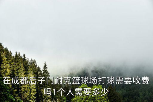 在成都后子門耐克籃球場打球需要收費(fèi)嗎1個人需要多少