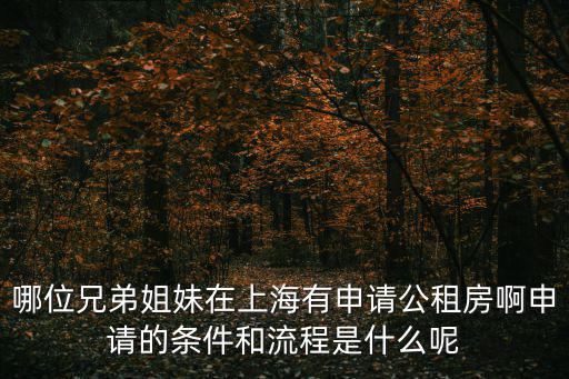 上海市 后灘公租房信息，關于上海如何申請公租房解答