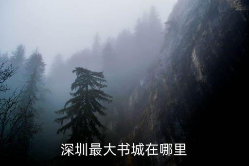 深圳最大書城在哪里