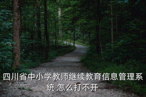 四川省中小學教師繼續教育信息管理系統 怎么打不開