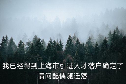 我已經得到上海市引進人才落戶確定了請問配偶隨遷落