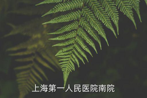 上海第一人民醫(yī)院南院