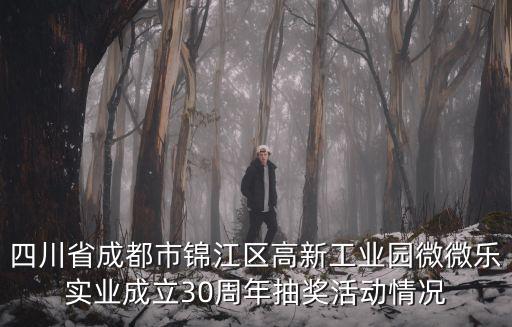 四川省成都市錦江區高新工業園微微樂實業成立30周年抽獎活動情況