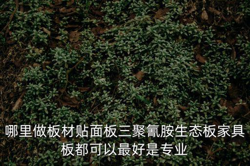 哪里做板材貼面板三聚氰胺生態板家具板都可以最好是專業