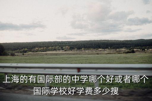 上海的有國際部的中學哪個好或者哪個國際學校好學費多少搜