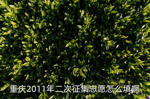 重慶2011年二次征集志愿怎么填啊