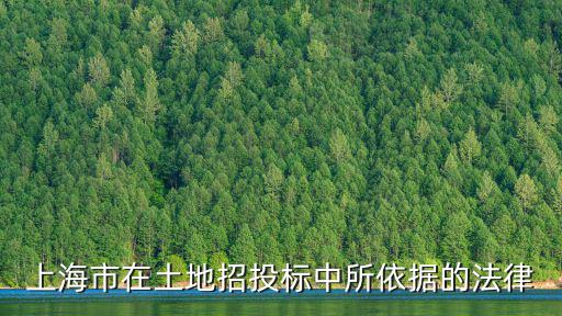 上海市在土地招投標中所依據的法律