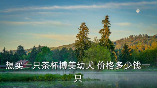 想買一只茶杯博美幼犬 價格多少錢一只