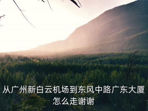 從廣州新白云機場到東風中路廣東大廈怎么走謝謝