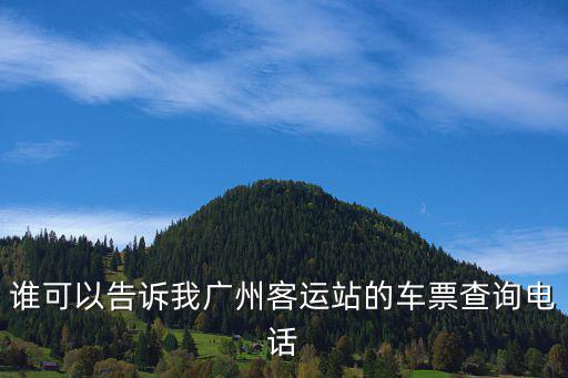 誰可以告訴我廣州客運站的車票查詢電話