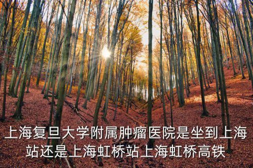 上海復旦大學附屬腫瘤醫院是坐到上海站還是上海虹橋站上海虹橋高鐵