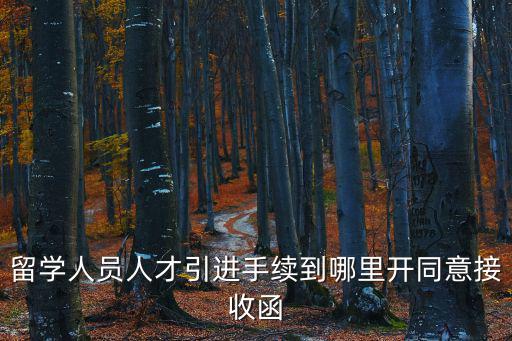 留學人員人才引進手續到哪里開同意接收函