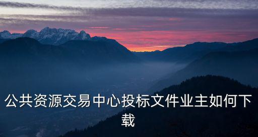 公共資源交易中心投標文件業主如何下載