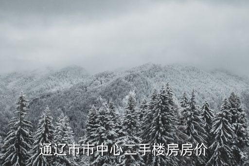 通遼市市中心二手樓房房價