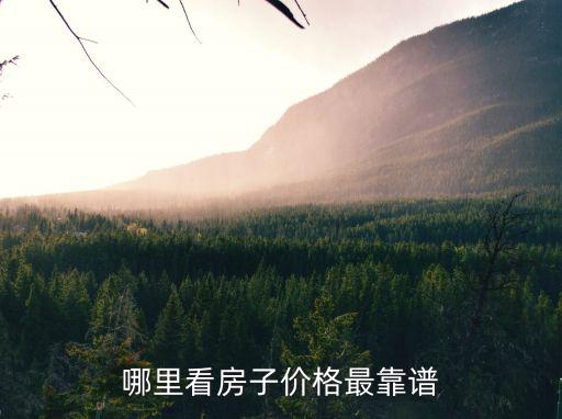 哪里看房子價(jià)格最靠譜