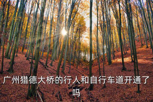 廣州獵德大橋上面變道，廣州獵德大橋的行人和自行車道開通了嗎