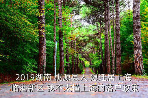 2019湖南 桃源縣人 想遷居上海 臨港新區(qū) 我不太懂上海的落戶政策