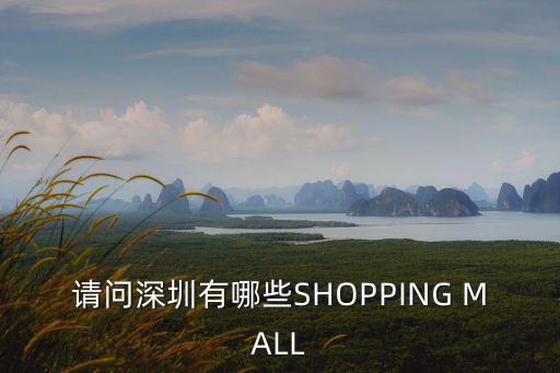 請問深圳有哪些SHOPPING MALL