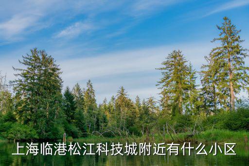 上海臨港松江科技城附近有什么小區(qū)