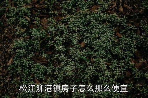 松江泖港鎮房子怎么那么便宜