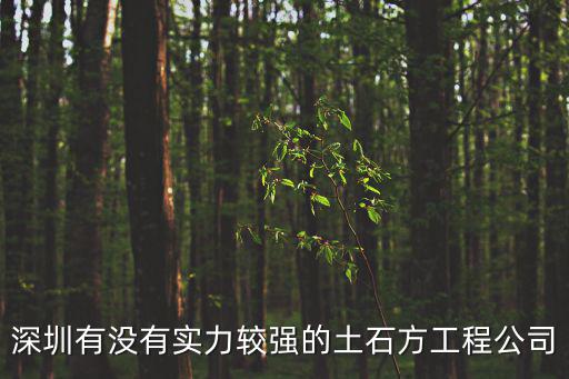 深圳有沒有實力較強的土石方工程公司